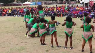 Campion College Cheerleading 2019  Sports Day [upl. by Socram]