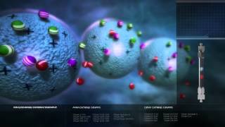 Ion Exchange Chromatography [upl. by Anastassia]