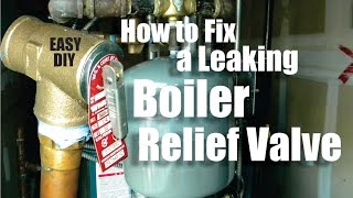 How to Repair a Leaking Boiler Relief Valve Easy DIY [upl. by Atirec735]