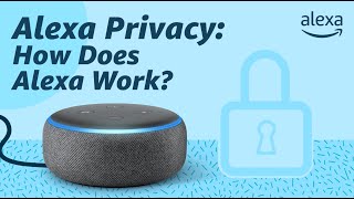 Alexa Privacy How Does Alexa Work [upl. by Nostrebor]