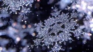 Snowflake Photographer [upl. by Serene]