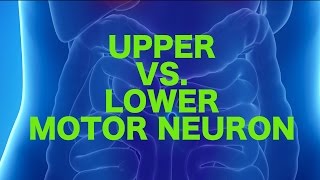 Upper vs Lower Motor Neuron Lesions  USMLE [upl. by Nata]