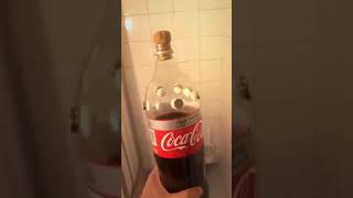 Flushing coke and mentos into toilet [upl. by Aissert]