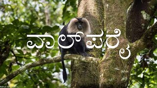 VALPARAI  2nd PUC  KANNADA LESSON EXPLAINED [upl. by Aretina]