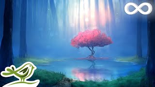 Deep Relaxing Music • Meditation Music Sleep Music Ambient Music [upl. by Rehpatsirhc82]