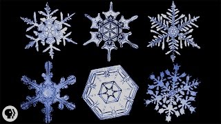 The Science of Snowflakes [upl. by Atsev]