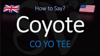 How to Pronounce Coyote  English American Pronunciation [upl. by Wetzell370]