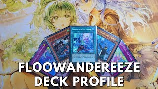 Competitive Floowandereeze deck profile November 2024 TCG Yugioh [upl. by Letha255]