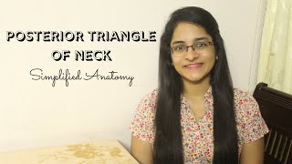 POSTERIOR TRIANGLE OF NECK  ANATOMY  SIMPLIFIED [upl. by Ahsaetan40]