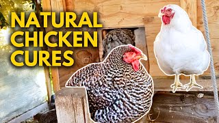 Is My Chicken Sick How to Treat Chickens Naturally [upl. by Webber]