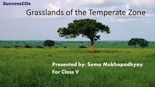 Grasslands  CBSE Class V Social Science Lesson [upl. by Nessi749]