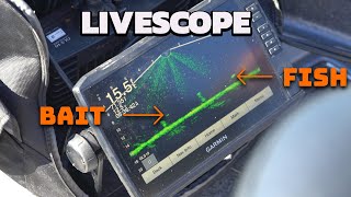 Using Garmin Livescope to Target Walleyes [upl. by Acceber]