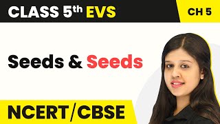 Class 5 EVS Chapter 5  Seeds and Seeds  NCERT Class 5 EVS [upl. by Stoecker436]