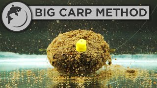 How To Fish The Method Feeder For BIG CARP [upl. by Nida]