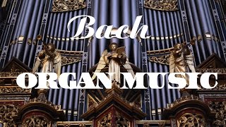 Bach  The Best Organ Music [upl. by Aerbas]