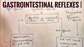 Defecation Reflex Chapter 64 part 10 Guyton and Hall Physiology [upl. by Akimad]