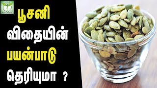 pumpkin seeds health benefits  Tamil Health Tips [upl. by Blanc]