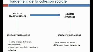 Sur quoi repose la cohésion sociale [upl. by Ennoryt]