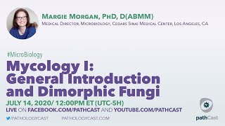 Mycology I General Introduction and Dimorphic Fungi  Dr Morgan Cedars Sinai MICROBIOLOGY [upl. by Enaillil957]