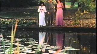 Tony Orlando amp DawnWhat Are You Doing Sunday  rare early music video [upl. by Nnaillek]