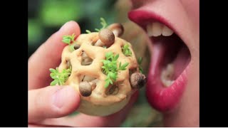 3D Printed Food The Future of Healthy Eating  Chloe Rutzerveld  TEDxYYC [upl. by Capon]