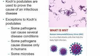 2117 Chapter 14  Principles of Disease and Epidemiology [upl. by Halet]