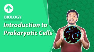 Introduction to Prokaryotic Cells  Hindi  Biology [upl. by Enelram]