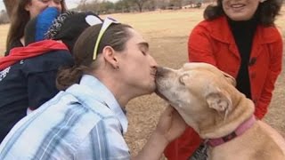 Lost dog reunited with owners after 3 years [upl. by Domeniga]