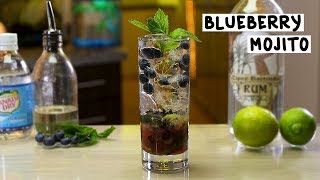 Blueberry Mojito  Tipsy Bartender [upl. by Mingche573]