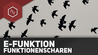 Funktionsscharen bei eFunktionen [upl. by Anuahsal]