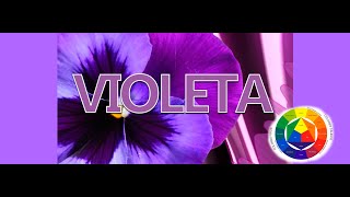 Como saco el Color Morado o Violeta [upl. by Yk]