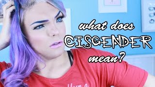 What does CISGENDER Mean  Stef Sanjati [upl. by Aisatnaf]