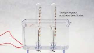 electrolysis of water [upl. by Ehttam]