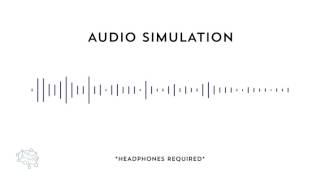 Auditory Processing Disorder Simulation [upl. by Janifer]