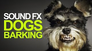 DOGS BARKING  Sound Effects High Quality [upl. by Assiroc]