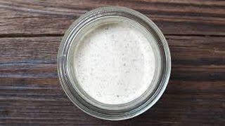 Alabama White Sauce Recipe  How to Make Alabama White Barbecue Sauce [upl. by Avrom97]