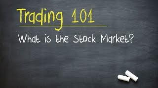 Trading 101 What is the Stock Market [upl. by Eenwat685]