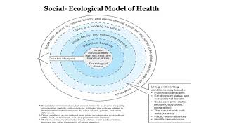 Social Ecological Model [upl. by Bliss]