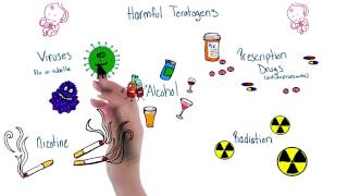 Harmful teratogens  Intro to Psychology [upl. by Niattirb]