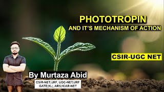 PHOTOTROPIN amp ITS MECHANISM OF ACTION  CSIRNET ICMR DBT GATEXL MSc  Sensory Photobiology [upl. by Yrokcaz105]