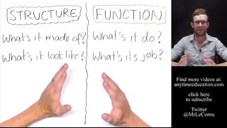 Structure and Function in Biology [upl. by Ykcim]