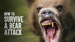 How to Survive a Bear Attack [upl. by Hindorff]