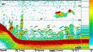 Tips N Tricks 93 Humminbird Switchfire 2D Sonar Settings [upl. by Heida1]