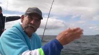 How To Catch Kingfish  SHIMANO FISHING [upl. by Jefferey]