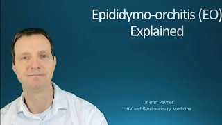 Epididymoorchitis EO explained 49 [upl. by Nuli]