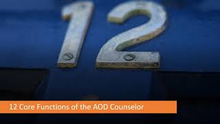 Addictions Counselor Core Skills Part I The 12 Core Functions [upl. by Werd]