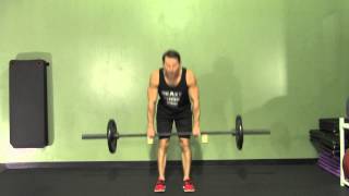 Barbell RDL  Romanian Dead Lift  HASfit Dead Lift Exercise  Proper Deadlift Form [upl. by Anonyw]