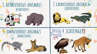 Types of Animals  Herbivores Carnivores Omnivores and Scavengers  Eating habits of Animals [upl. by Arturo]