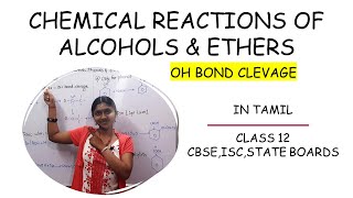 Chemical Reactions Of Alcohols Phenols amp Ethers In Tamil Class 12 Hydroxy Compounds OH Cleavage [upl. by Kristan676]