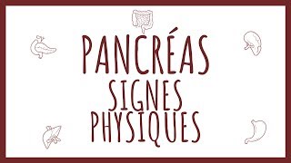 Sémiologie Pancréas  Signes Physiques [upl. by Nepets]